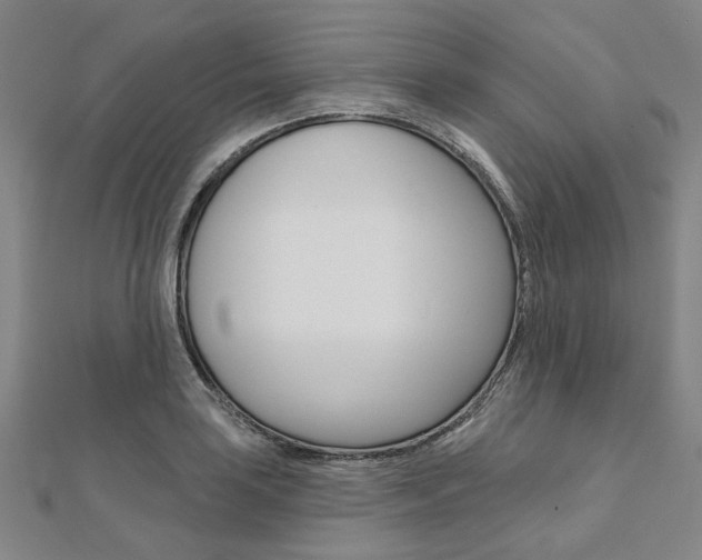 X0000112061035200908041006