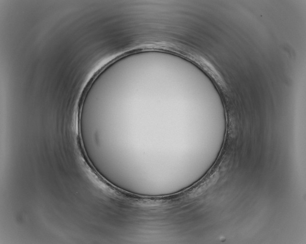 X0000112061036200908041006