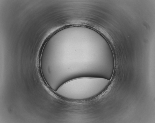 X0000112061037200908041006