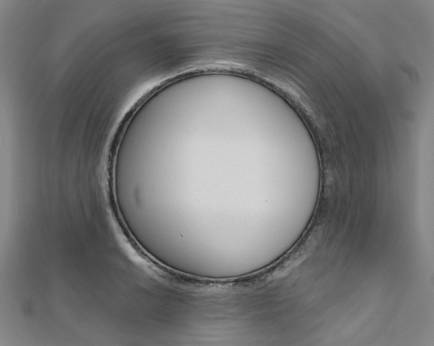 X0000112061038200908041006
