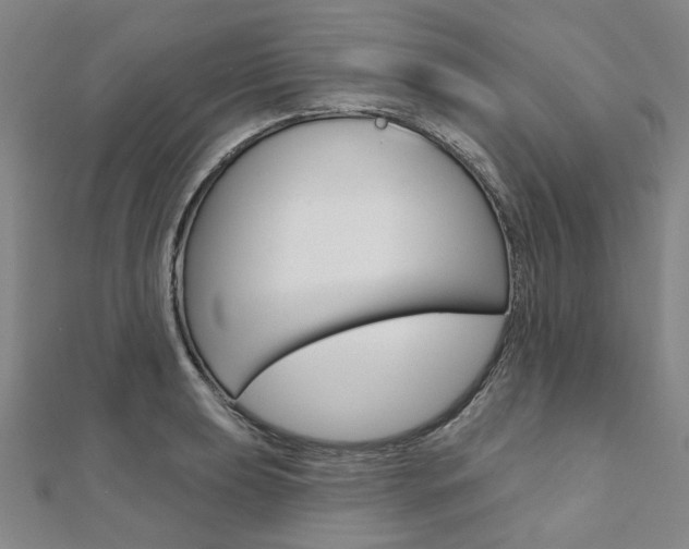 X0000112061039200908041006