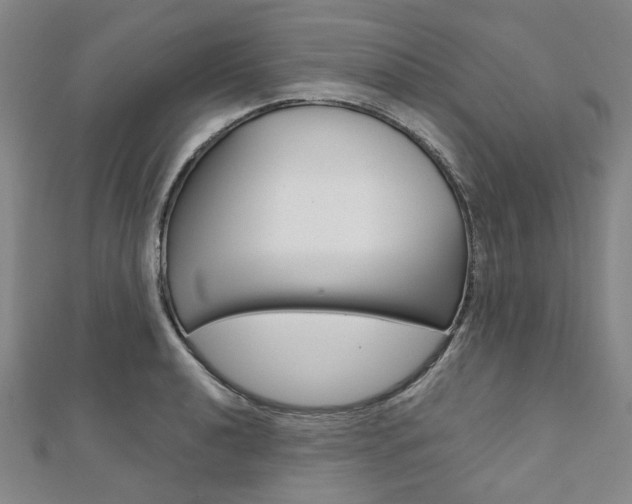 X0000112061040200908041006