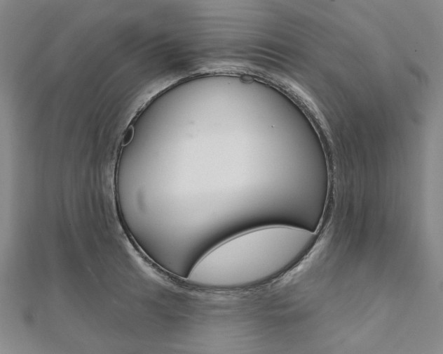 X0000112061041200908041006