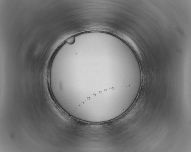 X0000112061043200908041006