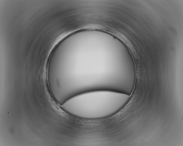 X0000112061044200908041006