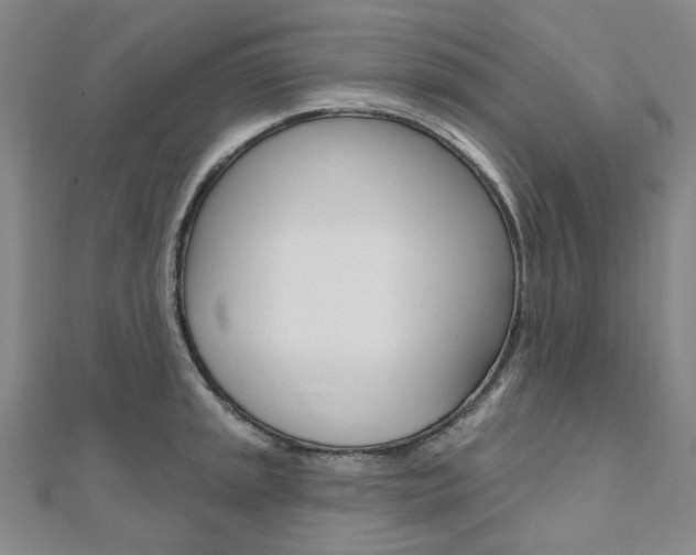 X0000112061045200908041007