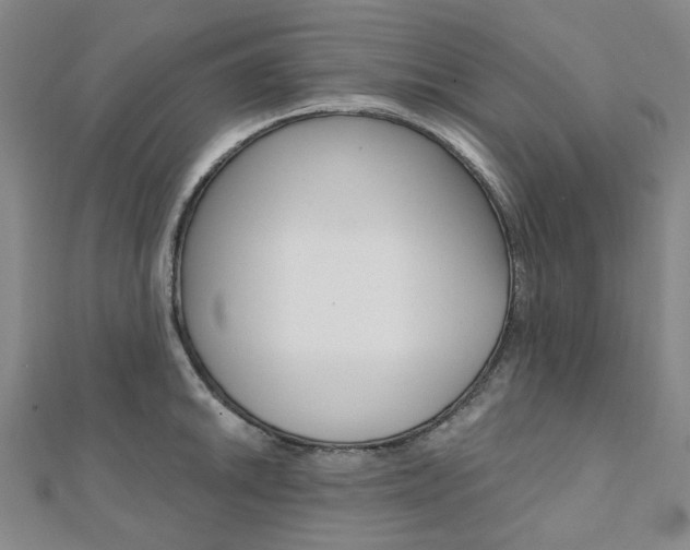 X0000112061046200908041007