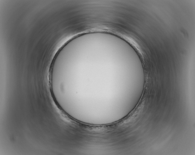 X0000112061047200908041007