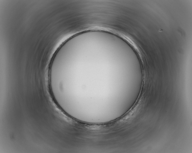 X0000112061048200908041007