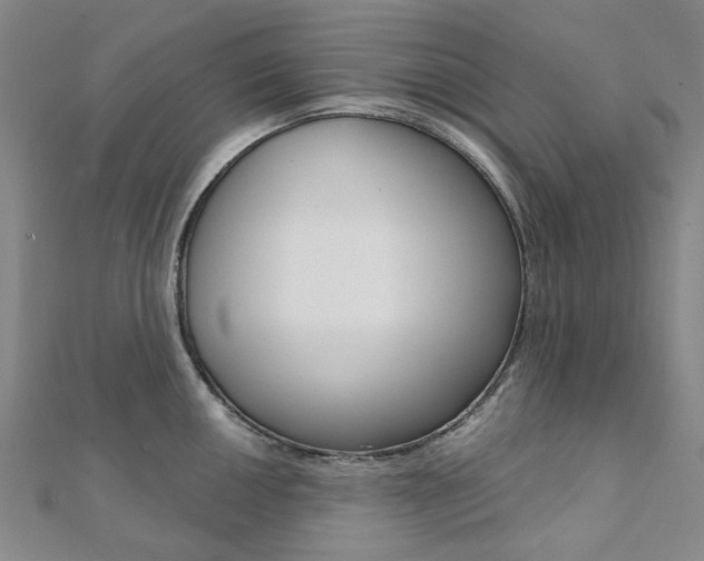 X0000112061050200908041007