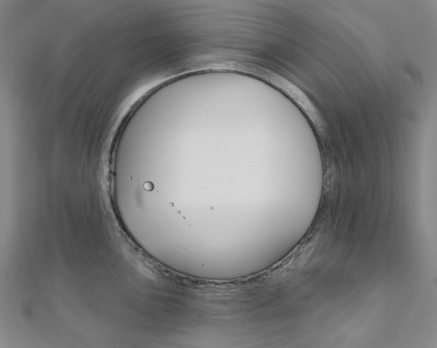 X0000112061051200908041007