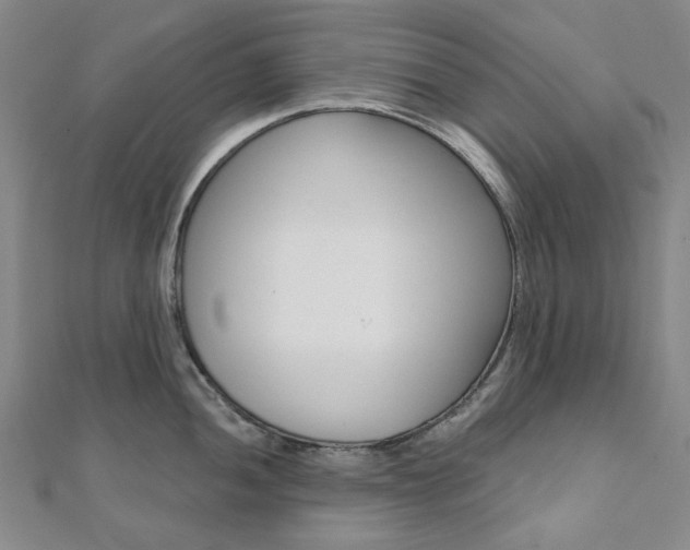 X0000112061052200908041007