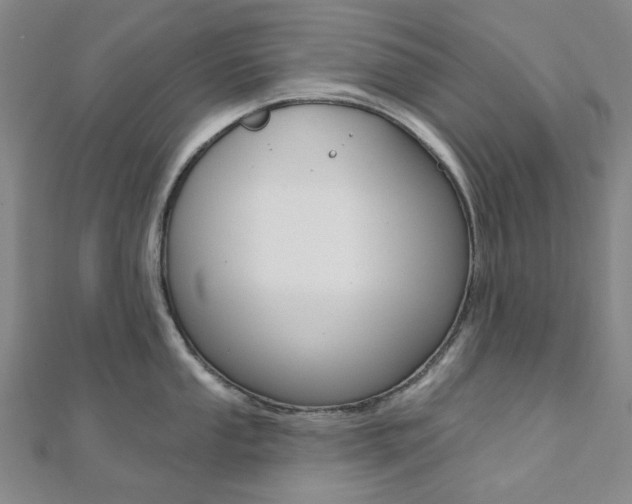 X0000112061053200908041007