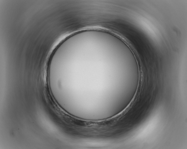 X0000112061054200908041007