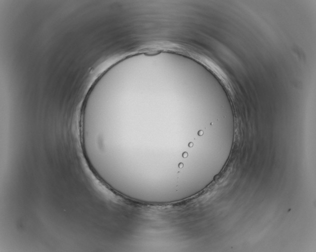 X0000112061055200908041007
