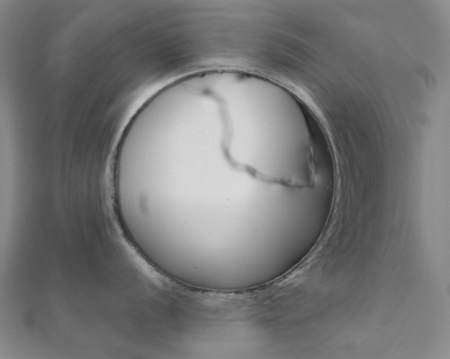 X0000112061056200908041007