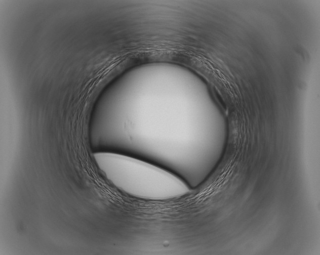 X0000112061057200908041006