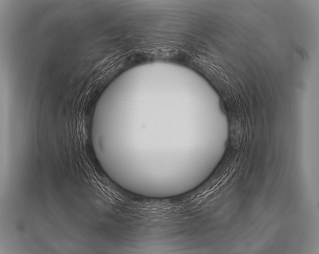 X0000112061058200908041006