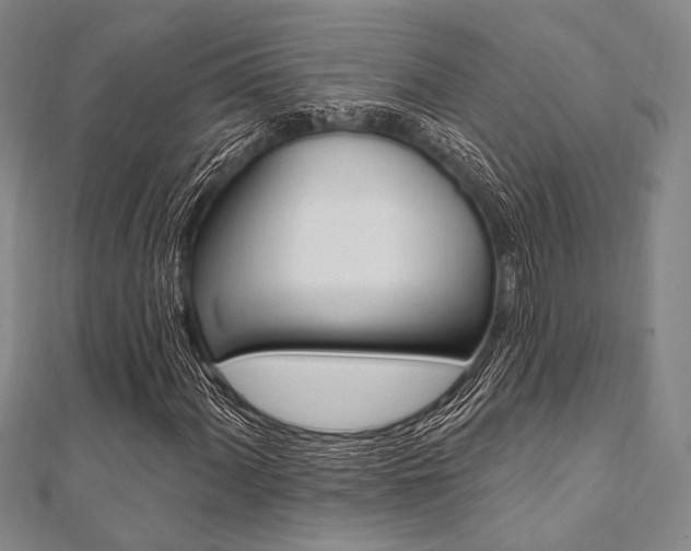 X0000112061060200908041006