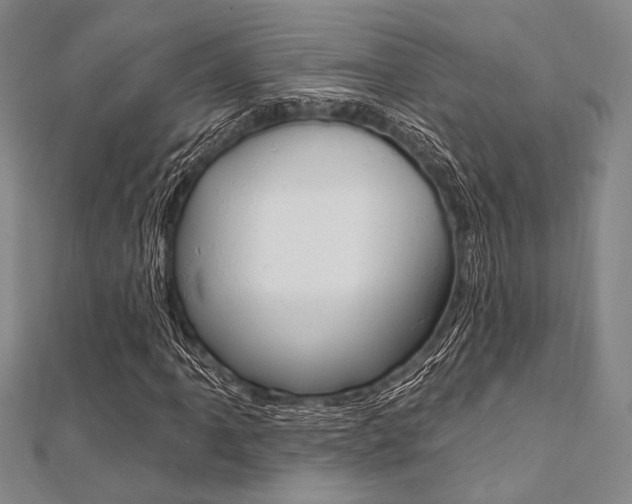 X0000112061061200908041006