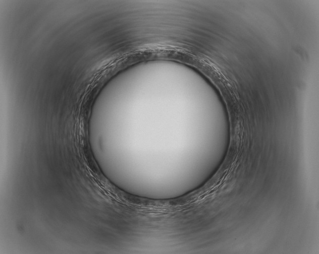 X0000112061062200908041006