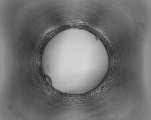 X0000112061063200908041006