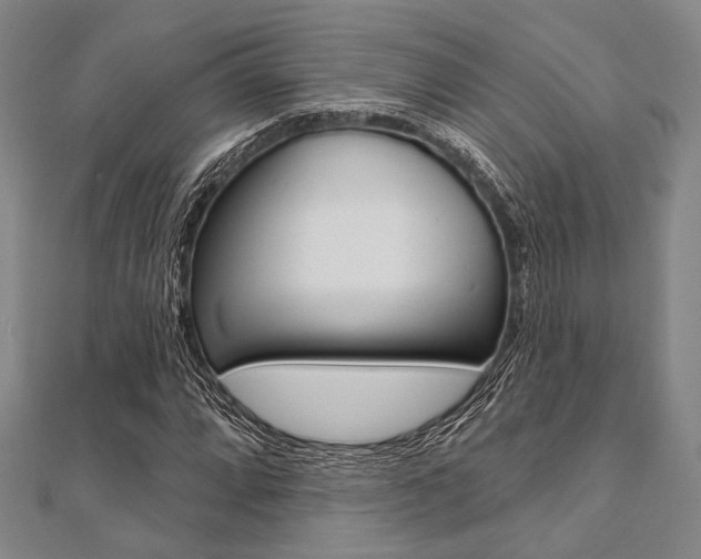 X0000112061064200908041006