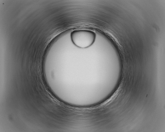 X0000112061065200908041006