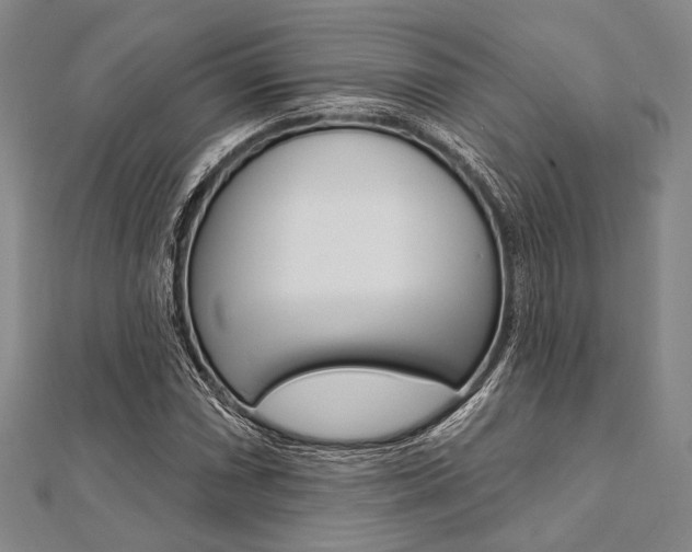 X0000112061066200908041006