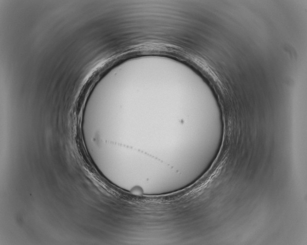 X0000112061067200908041006