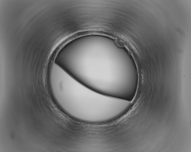X0000112061069200908041006