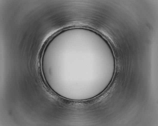 X0000112061070200908041006