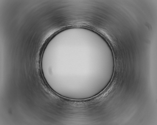 X0000112061071200908041006