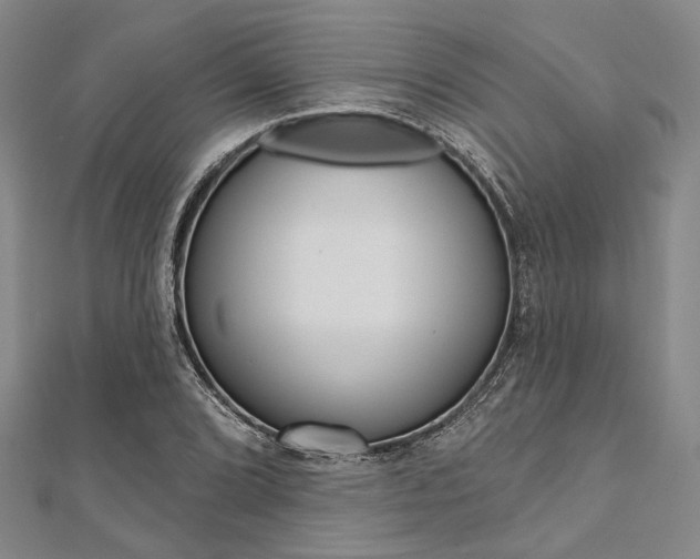 X0000112061072200908041006