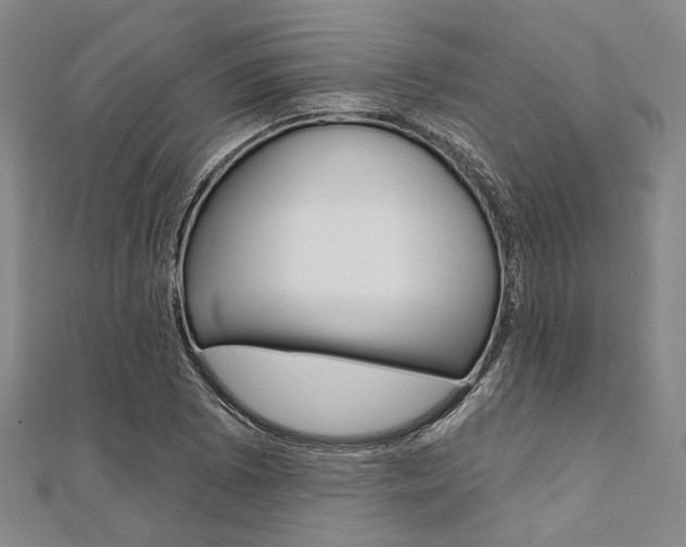 X0000112061073200908041006