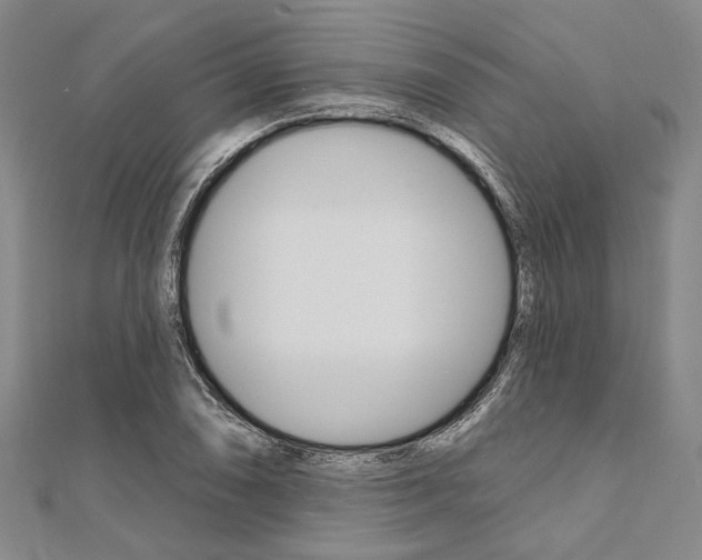 X0000112061074200908041006