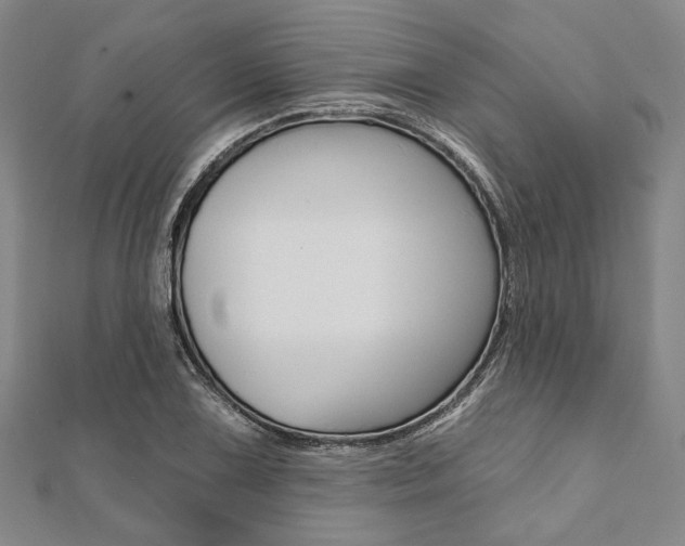 X0000112061075200908041006