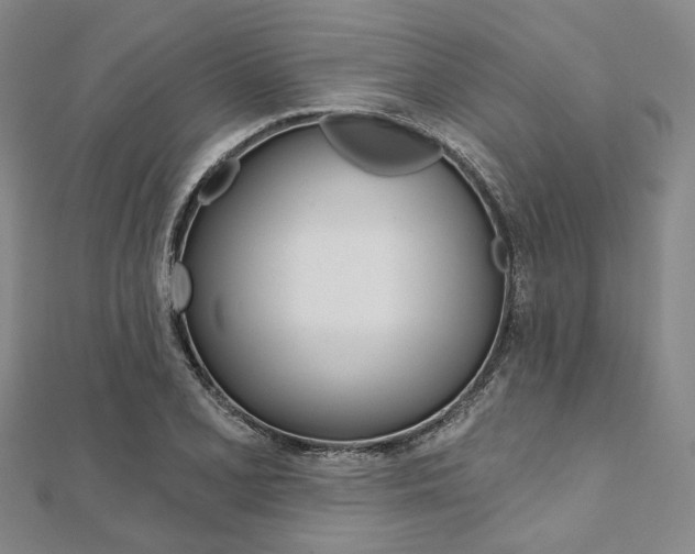 X0000112061077200908041006