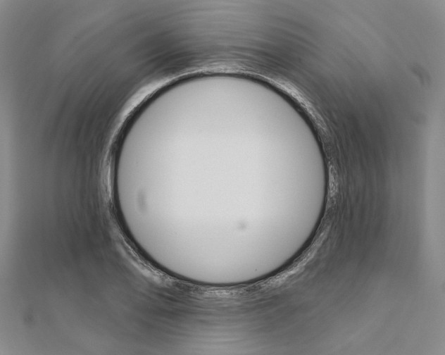 X0000112061078200908041006