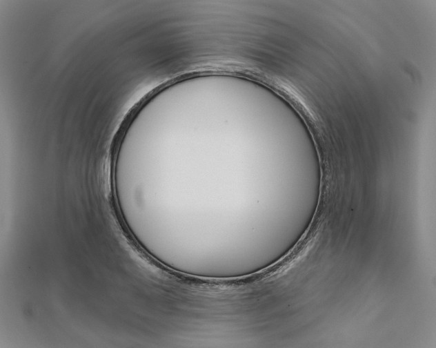X0000112061079200908041006