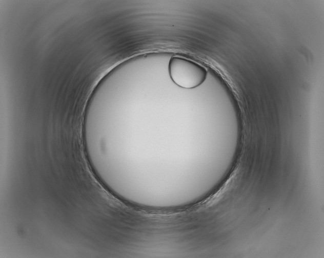 X0000112061081200908041006