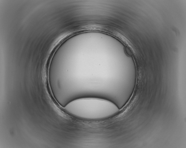 X0000112061082200908041006