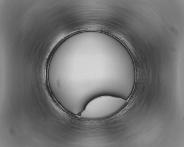 X0000112061083200908041006