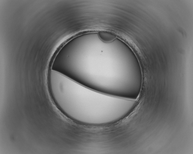 X0000112061085200908041006