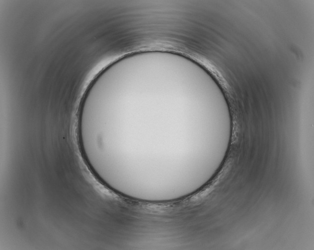 X0000112061086200908041005