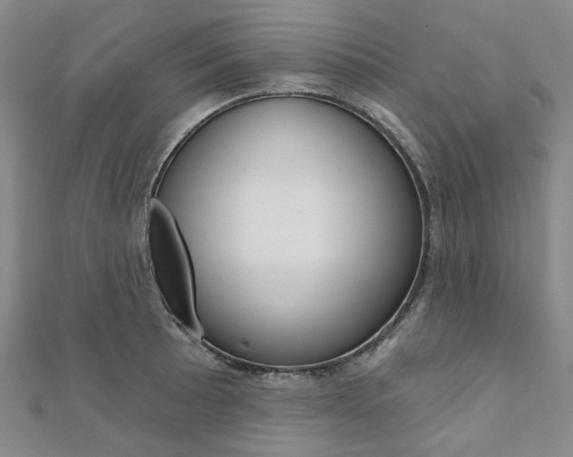 X0000112061089200908041005