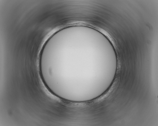 X0000112061090200908041005