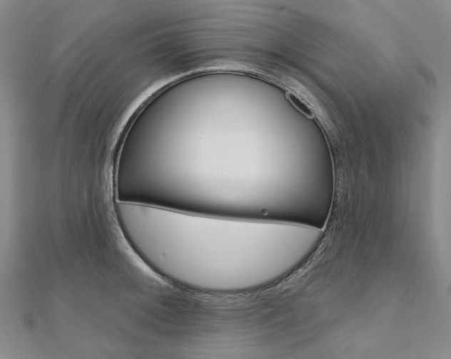 X0000112061092200908041005