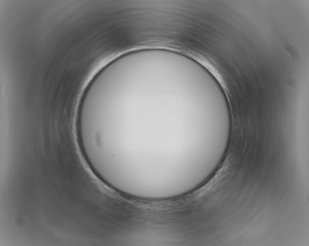X0000112061093200908041005