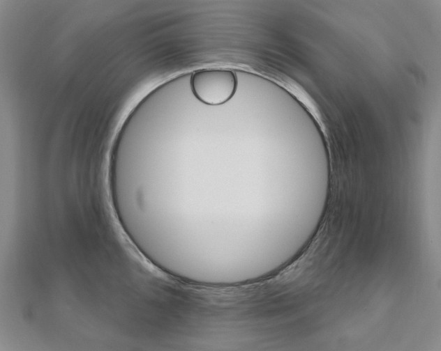 X0000112061096200908041005